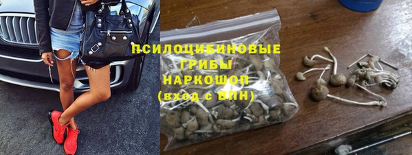 гидра Баксан