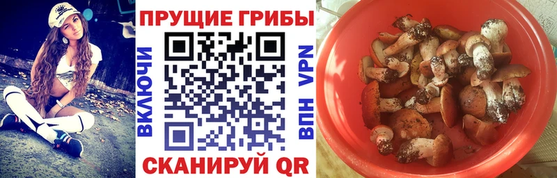 Псилоцибиновые грибы MAGIC MUSHROOMS  MEGA рабочий сайт  Городище  магазин продажи наркотиков 